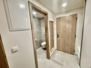 Pronájem bytu 1+kk, Praha - Hloubětín, Poděbradská, 32 m2