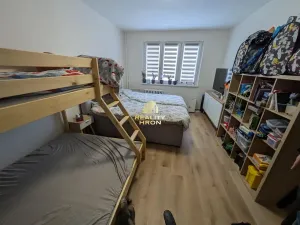 Prodej bytu 2+1, Chomutov, Vrchlického, 55 m2