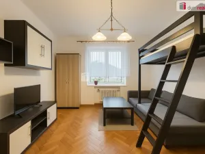 Pronájem bytu 2+1, Ústí nad Labem - Střekov, Střekovské nábřeží, 54 m2