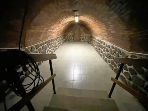 Prodej komerční nemovitosti, Dobšice, Vilová, 467 m2