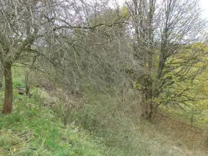 Prodej pozemku, Aš, 1691 m2