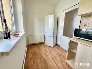 Pronájem bytu 1+1, Praha - Žižkov, U kněžské louky, 70 m2