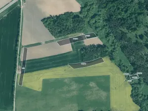 Prodej pole, Přešťovice, 39113 m2