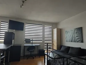 Pronájem bytu 1+kk, Praha - Braník, Jílovská, 41 m2
