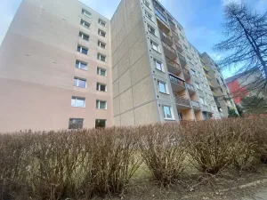 Prodej bytu 2+kk, Liberec, Ježkova, 42 m2