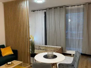 Pronájem bytu 1+kk, Praha - Žižkov, Olgy Havlové, 37 m2