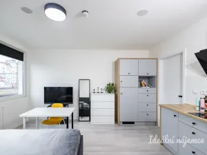 Pronájem bytu 1+kk, Praha - Vinohrady, Perucká, 25 m2