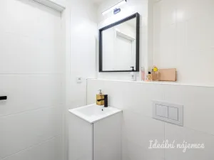 Pronájem bytu 1+kk, Praha - Vinohrady, Perucká, 25 m2
