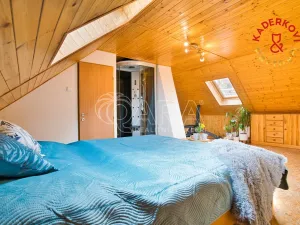 Prodej rodinného domu, Velké Opatovice, 167 m2