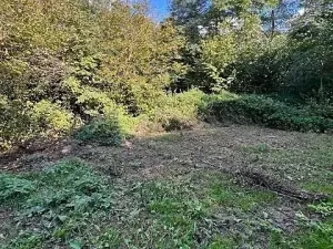 Prodej lesa, Březolupy, 245 m2