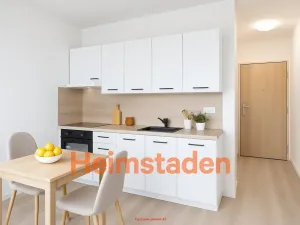 Pronájem bytu 1+1, Frýdek-Místek - Frýdek, El. Krásnohorské, 35 m2