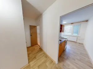 Pronájem bytu 1+1, Ostrava - Výškovice, Šeříková, 40 m2