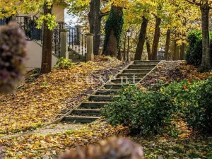 Prodej domu, Trnová, 1585 m2