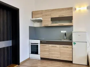 Pronájem bytu 1+kk, Strážnice, Předměstí, 40 m2