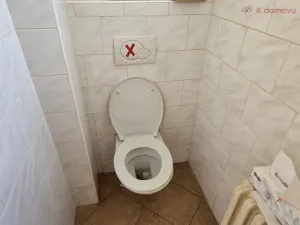 Prodej rodinného domu, Lipník nad Bečvou - Lipník nad Bečvou I-Město, Mánesova, 143 m2