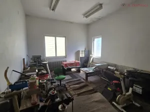 Prodej komerční nemovitosti, Lipník nad Bečvou - Lipník nad Bečvou I-Město, Mánesova, 170 m2