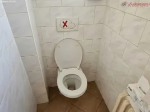 Prodej komerční nemovitosti, Lipník nad Bečvou - Lipník nad Bečvou I-Město, Mánesova, 143 m2