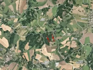 Prodej lesa, Horní Meziříčko, 6626 m2