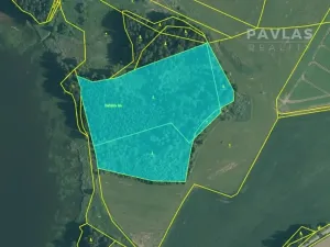 Prodej lesa, Jindřichův Hradec, 32504 m2