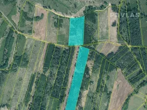 Prodej lesa, Jetětice, 103270 m2