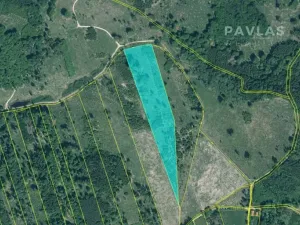 Prodej lesa, Jetětice, 103270 m2