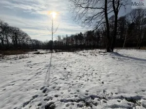 Prodej pozemku pro bydlení, Háj u Duchcova, Lesní stezka, 2003 m2