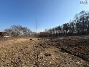 Prodej pozemku pro bydlení, Háj u Duchcova, Lesní stezka, 2003 m2