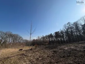 Prodej pozemku pro bydlení, Háj u Duchcova, Lesní stezka, 2003 m2