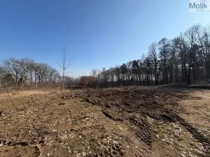 Prodej pozemku pro bydlení, Háj u Duchcova, Lesní stezka, 2003 m2