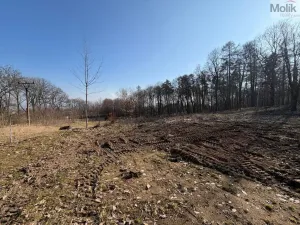 Prodej pozemku pro bydlení, Háj u Duchcova, Lesní stezka, 2003 m2