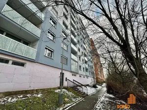 Pronájem bytu 2+1, Ústí nad Labem, Brandtova, 61 m2