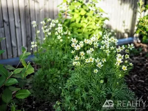 Prodej vícegeneračního domu, Ladná, Ovčačky, 407 m2