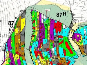 Dražba lesa, Psárov, 15717 m2
