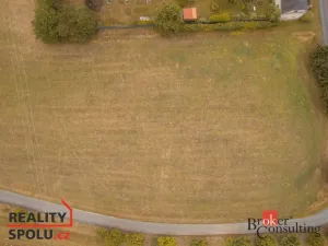 Prodej pozemku pro bydlení, Svojšín - Nynkov, 1179 m2