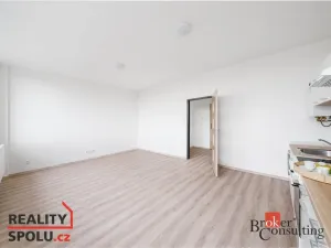 Pronájem bytu 1+kk, Mlékojedy, 47 m2