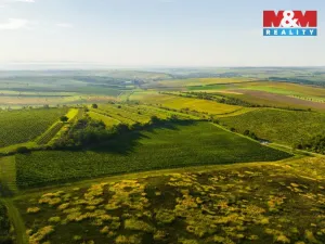 Prodej pole, Šardice, 56699 m2