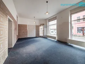 Prodej rodinného domu, Kraslice, Dukelská, 267 m2