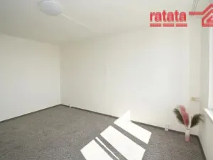 Pronájem bytu 1+1, Chomutov, Borová, 36 m2