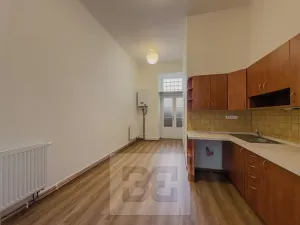 Pronájem bytu 1+1, Praha - Žižkov, Seifertova, 40 m2