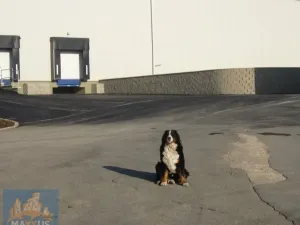 Pronájem skladu, Žižice - Vítov, 1762 m2