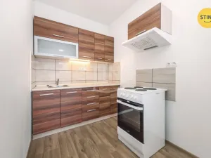 Prodej bytu 1+kk, Pardubice, Pod Vinicí, 40 m2