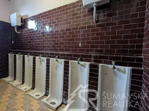 Prodej obchodního prostoru, Předslav, 494 m2