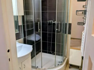 Pronájem bytu 2+1, Opava - Předměstí, Krnovská, 61 m2