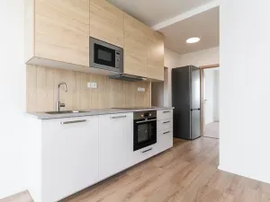 Pronájem bytu 3+1, Domašov nad Bystřicí, Náměstí, 77 m2