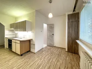 Prodej bytu 2+1, Krupka - Maršov, 63 m2