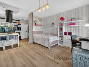 Prodej bytu 1+kk, Praha - Hostavice, Hrabovská, 45 m2