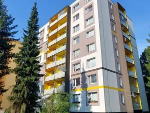 Prodej bytu 1+kk, Valašské Meziříčí, Vsetínská, 27 m2