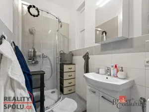 Prodej bytu 2+kk, Praha - Žižkov, Hartigova, 56 m2