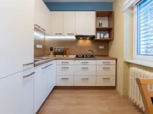 Prodej bytu 1+kk, Ústí nad Labem, SNP, 29 m2