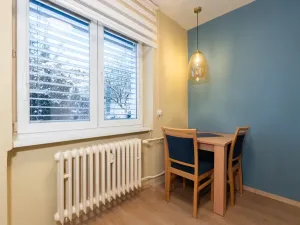 Prodej bytu 1+kk, Ústí nad Labem, SNP, 29 m2